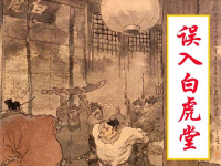 《误入白虎堂》上海人民美术出版社 颜梅华