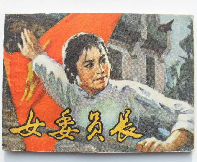 湖南版革命斗争故事《女委员长》廖先吾 曾泽祥1.webp