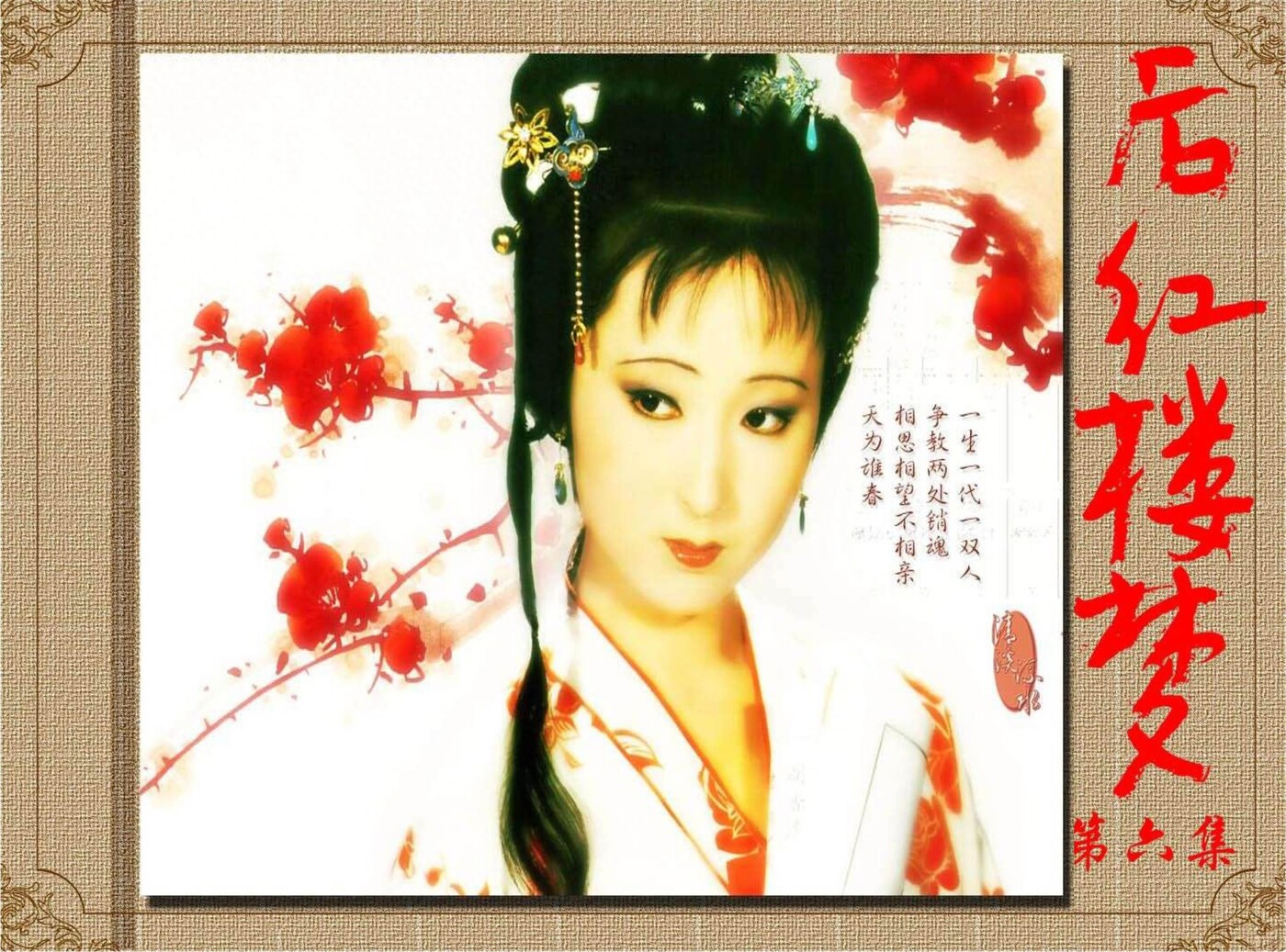 年代后红楼梦第六集时代记忆1.jpeg