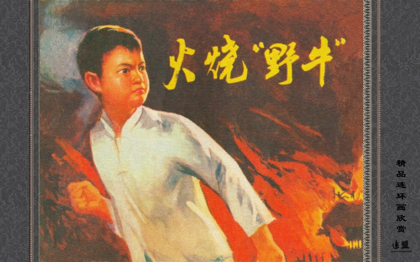 《火烧野牛》浙江人民出版社.1.jpeg