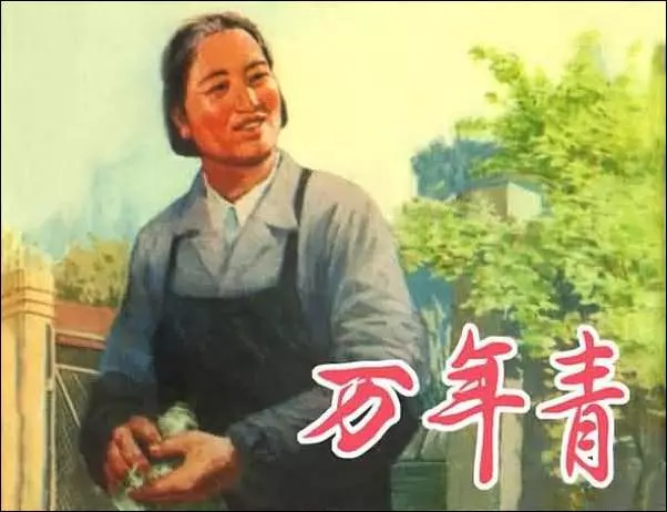 《万年青》(老门卫)《万年青》在线观看连环画