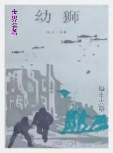 234幼狮[美国]欧文·肖.JPG