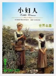 225小妇人[美国]路易莎·奥尔科特.JPG