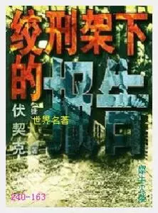 163绞刑架下的报告[捷克]伏契克.JPG