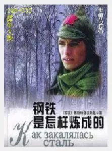 033钢铁是怎样炼成的[苏联]奥斯特洛夫斯基.JPG