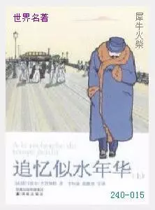 015追忆似水年华[法国]马塞尔·普鲁斯特.JPG