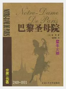 001世界名著 巴黎圣母院[法国]雨果.JPG