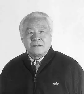 张辛国