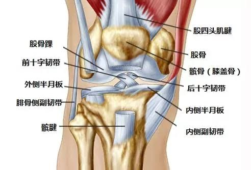 来源：中国医师协会骨科分会
