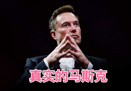 真实的马斯克