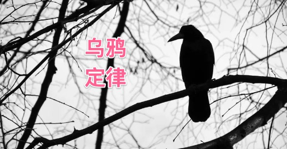 乌鸦定律