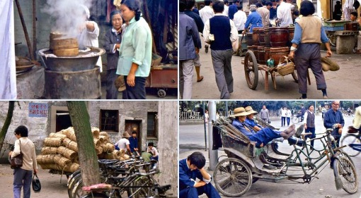 55条习惯，养一个算一个