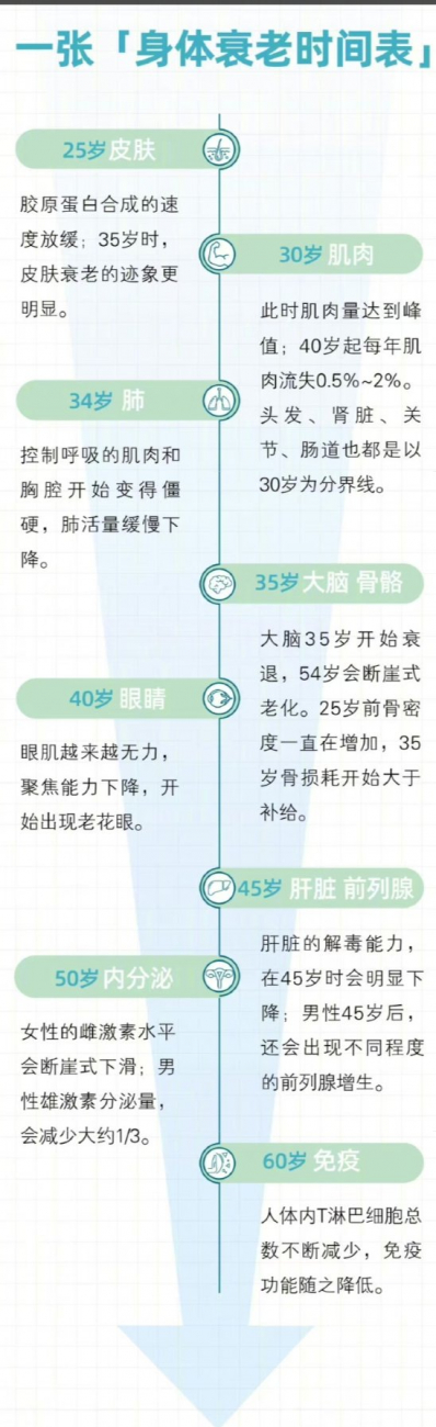 【健康指南】身体部位衰老时间表