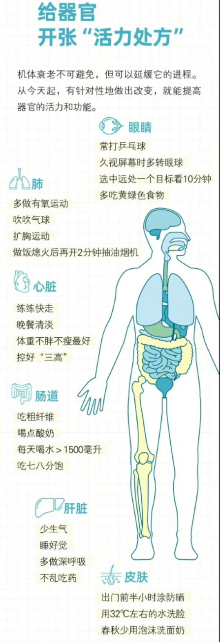 【健康指南】身体部位衰老时间表