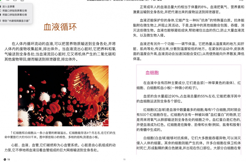 人体结构2.jpeg