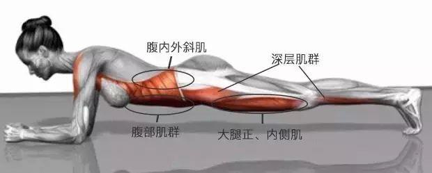 腹部1.jpeg