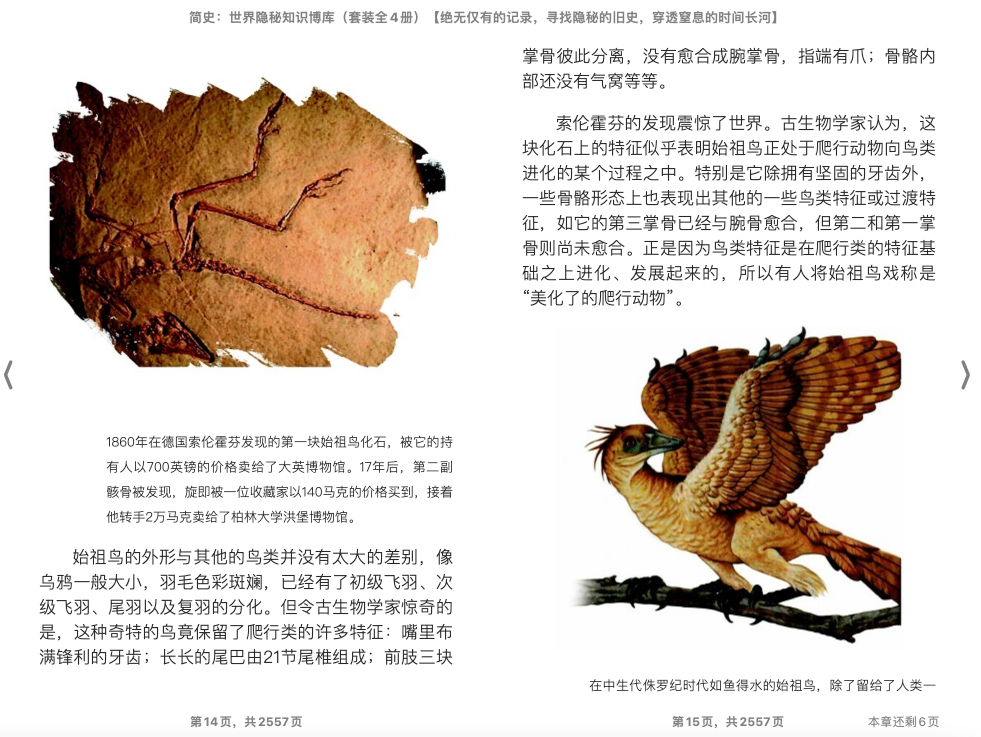 消失的动物.png