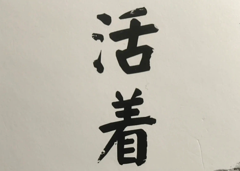 【老鸡汤】2024年，活着的任务完成一半